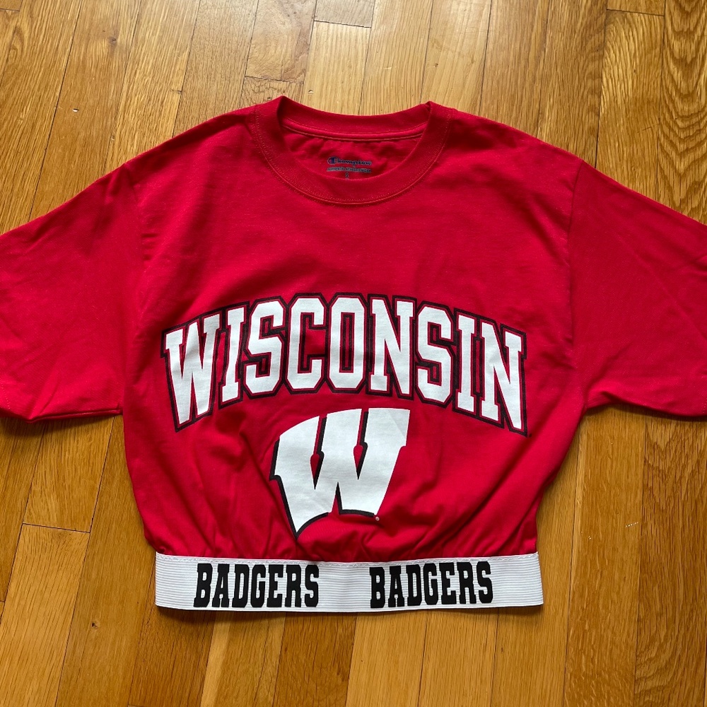Wisconsin ribbed crop top